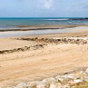 Cotentin2007 (88)